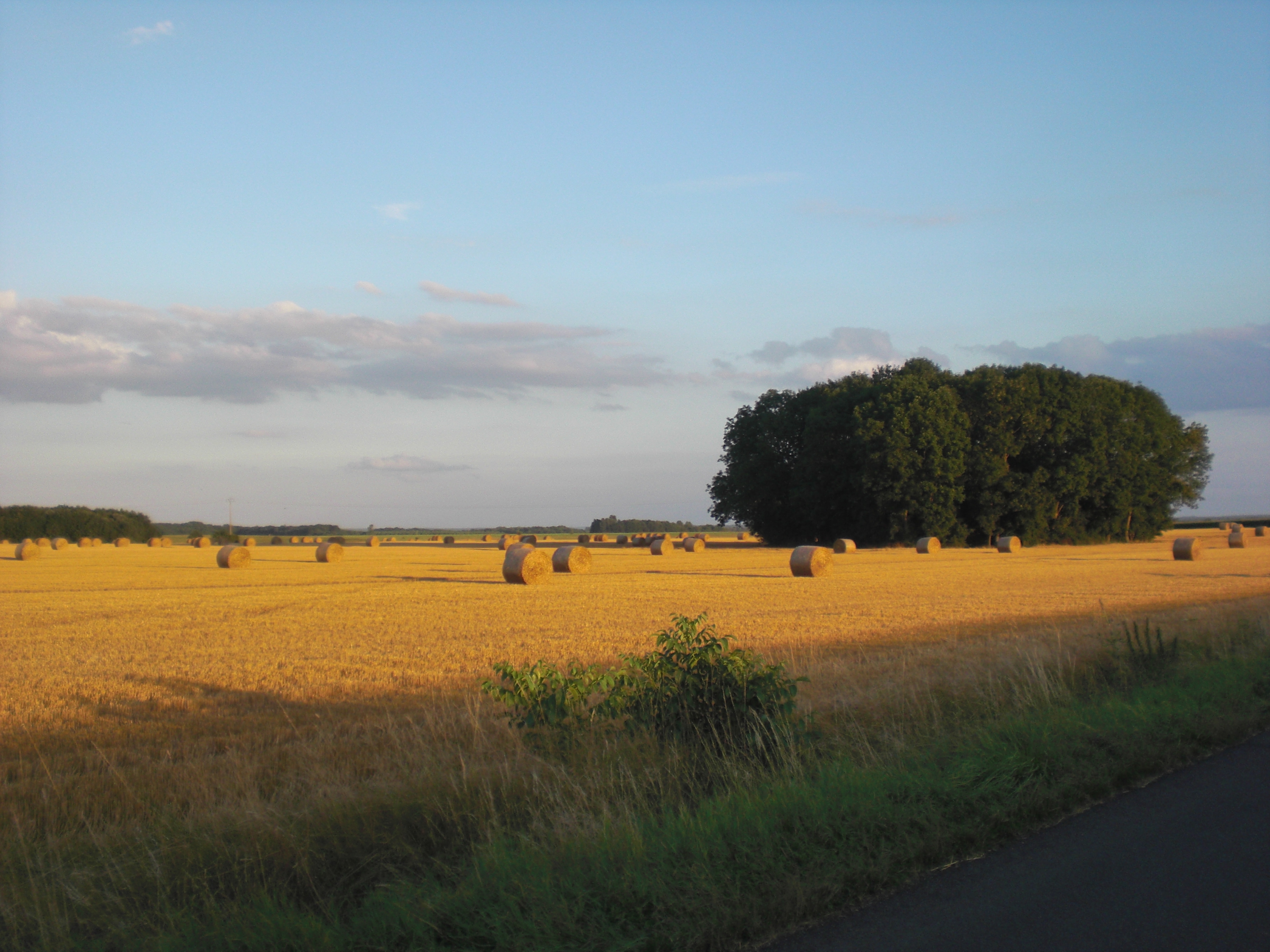 Nordfrankreich