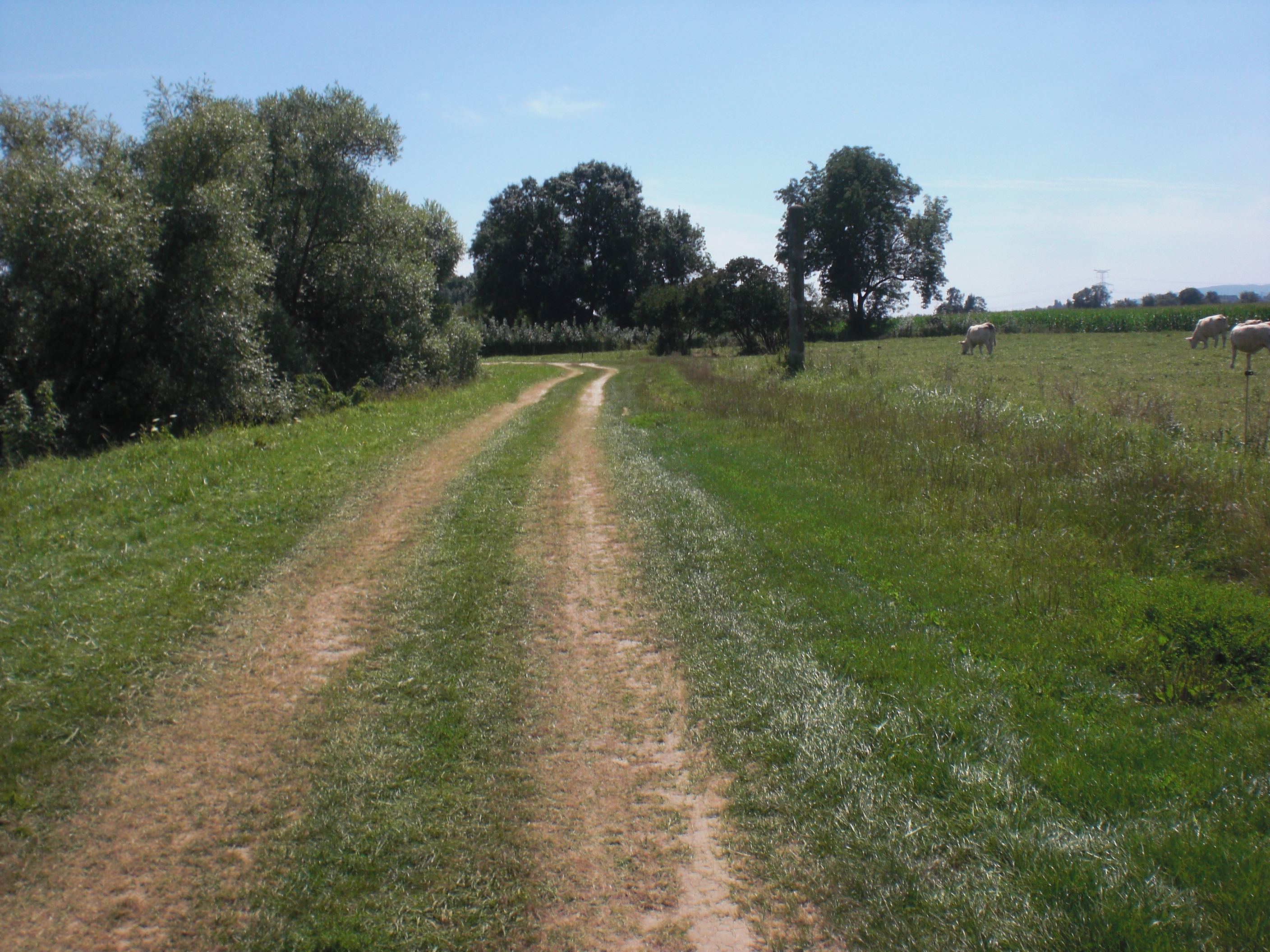 Feldweg